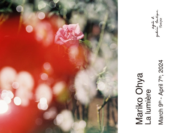 大矢真梨子『La lumière』