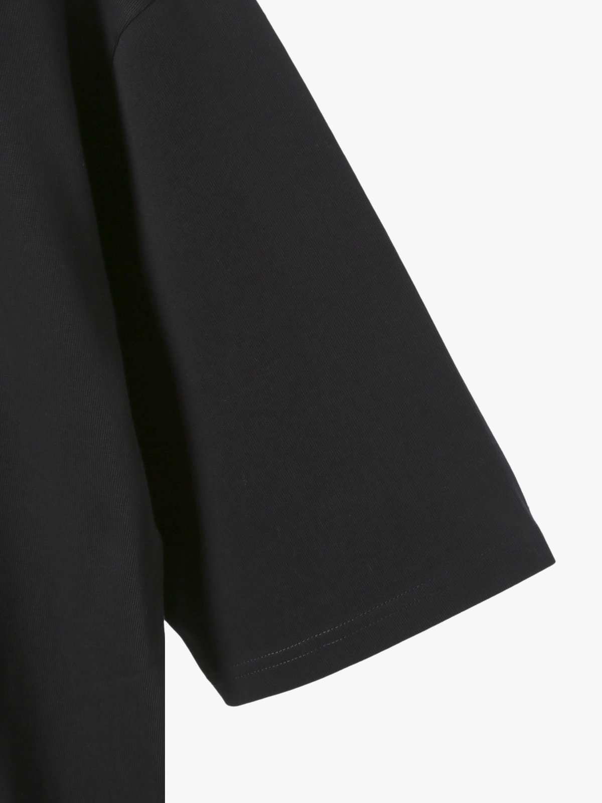 HOMME メンズ メンズ 刺繍 コットン 半袖 Tシャツ ”Lezard” ブラック