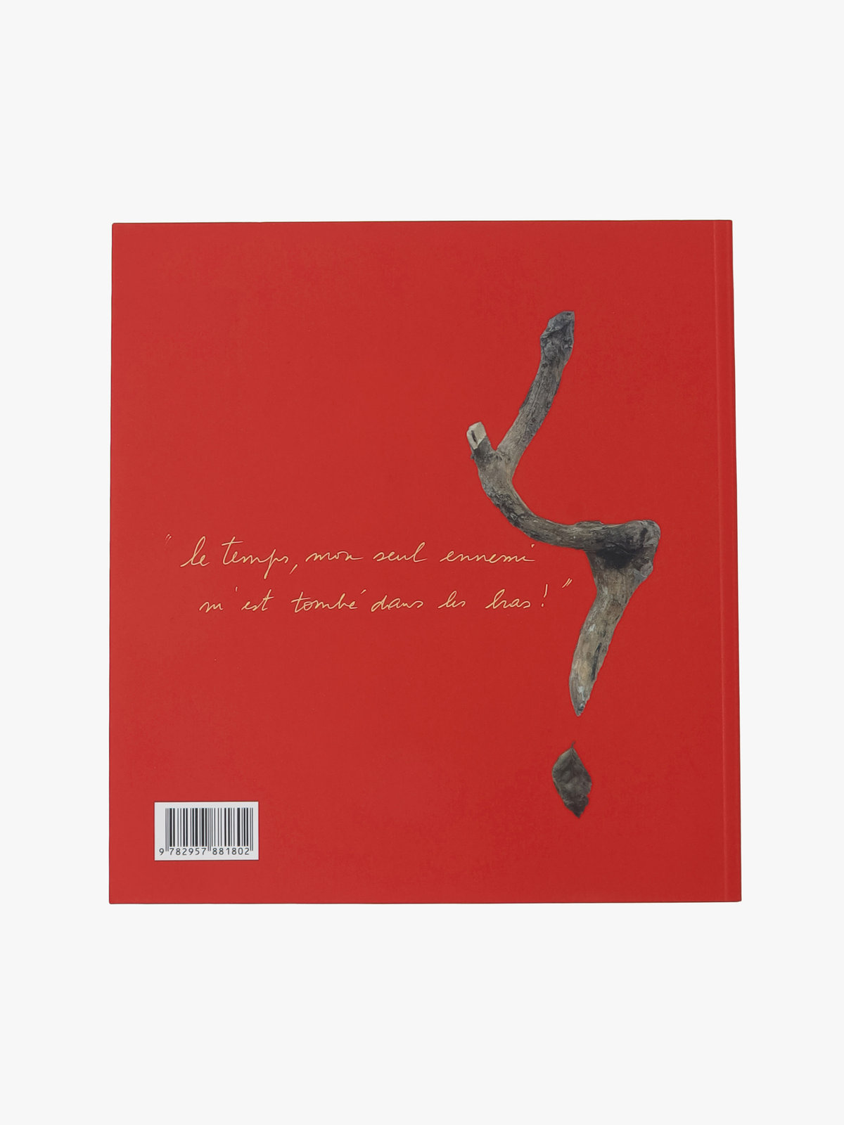 FEMME ウィメンズ 写真集 "Les Drolesses" マルチ