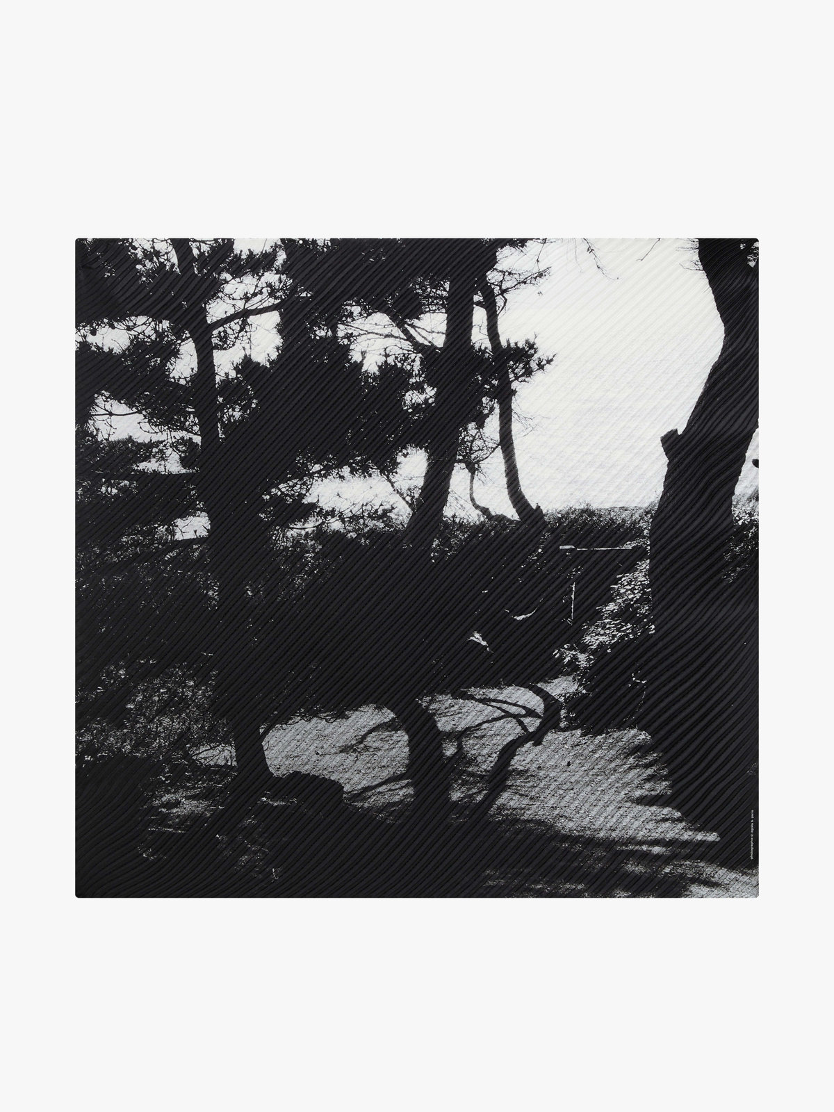 FEMME ウィメンズ フォトプリント シルク スカーフ ”Denise” ブラック