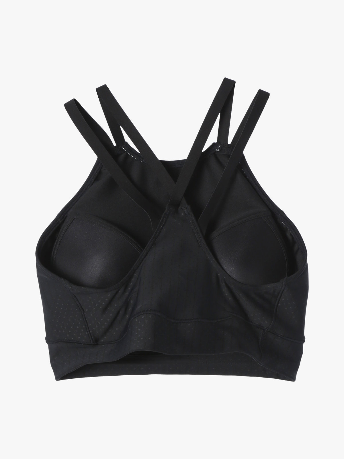 FEMME ウィメンズ agnes b. x arena セパレーツ ロングスパッツ スイムウェア ブラック