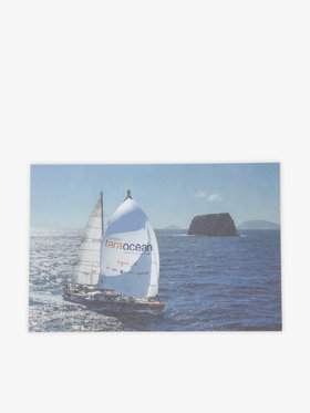 FEMME ウィメンズ 2025 TARA ポストカード5枚セット マルチ