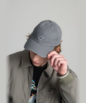 HOMME メンズ SPORT b. ウォッシュドツイル ディノ キャップ グレー