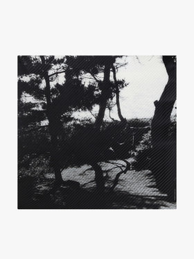 FEMME ウィメンズ フォトプリント シルク スカーフ ”Denise” ブラック