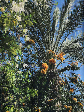 ENFANT ガールズ 【Outlet】NU13 E ROBE キッズ ワンピース マルチ