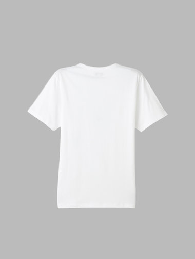 メンズ コットン 半袖 Tシャツ "Coulos"