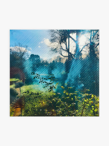 フォトプリント シルク スカーフ ”le jardin d'agnes”