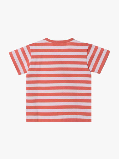 ベビー 細ボーダー コットン 半袖 Tシャツ